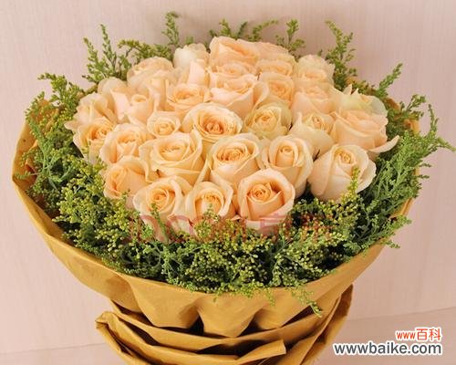 追寻奢华与浪漫的代表——香槟玫瑰 香槟玫瑰的寓意与象征