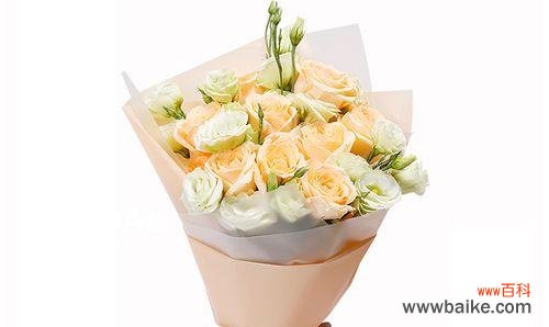 探索香槟玫瑰的深层含义及文化背景 香槟玫瑰的花语和象征意义