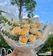 探索香槟玫瑰的深层含义及文化背景 香槟玫瑰的花语和象征意义