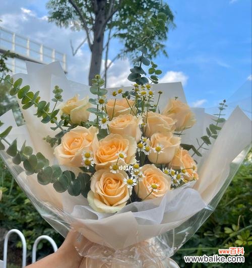 探索香槟玫瑰的深层含义及文化背景 香槟玫瑰的花语和象征意义