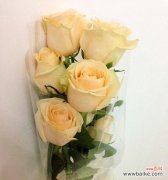 浪漫而珍贵的33朵香槟玫瑰，透露着什么样的情感？ 33朵香槟玫瑰的意义与象征