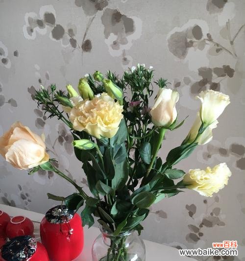 传递相思之情,揭示爱的真谛 相思梅的花语与寓意——爱情的永恒承诺