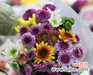 揭开鲜切花独特的象征性和美学特点 鲜切花的意义与价值