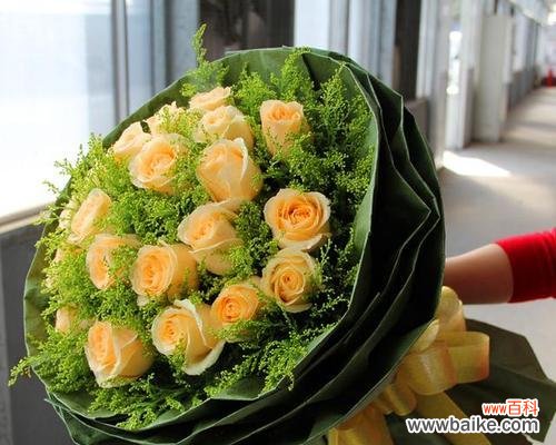 探索香槟玫瑰所传递的情感和象征 香槟玫瑰的花语和寓意