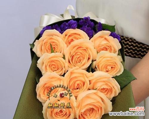 传递爱意和美好的祝福，玫瑰中的特别存在 香槟玫瑰的花语和寓意——探索温暖与浪漫的象征