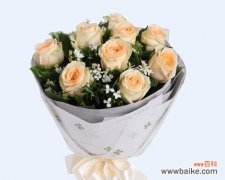 探寻香槟玫瑰花的内涵及传达的情感 香槟玫瑰花的意义与象征