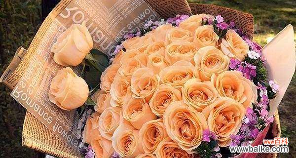 香槟玫瑰花语的意义与传承 香槟玫瑰的花语