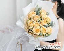 探索香槟玫瑰的神秘象征 香槟玫瑰的美丽寓意