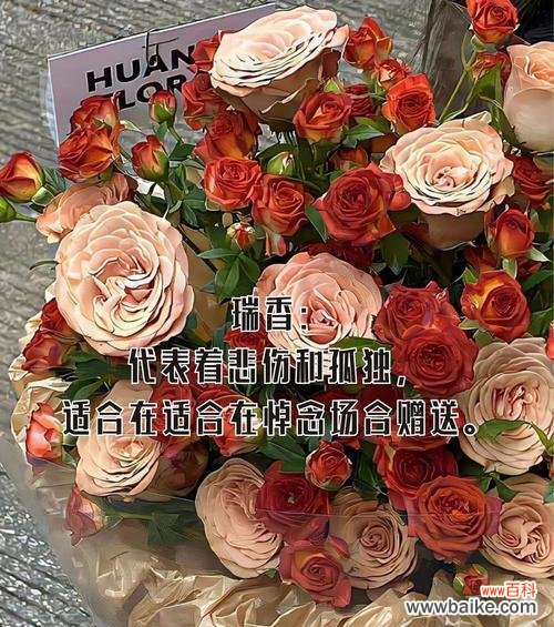 秋季哪种花寓意爱情？