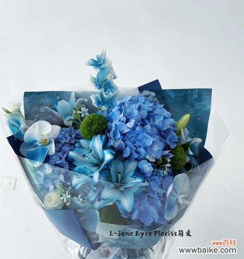 白色与蓝色手捧花的寓意分别是什么?