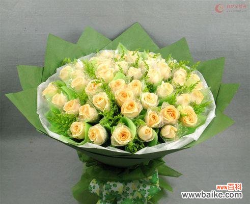 揭示香槟玫瑰的深层含义及其在不同文化中的象征意义 香槟玫瑰的寓意和象征