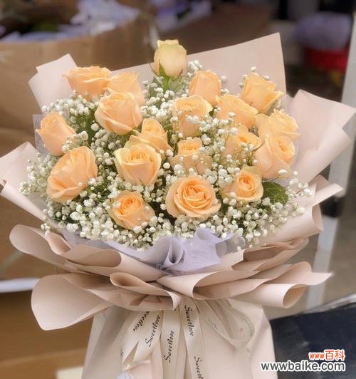 揭示香槟玫瑰的深层含义及其在不同文化中的象征意义 香槟玫瑰的寓意和象征