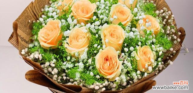 揭示香槟玫瑰的深层含义及其在不同文化中的象征意义 香槟玫瑰的寓意和象征