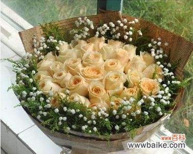 探寻香槟玫瑰的美丽与意义 香槟玫瑰