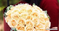 探寻香槟色玫瑰的情感和象征意义 香槟色玫瑰的花语与寓意