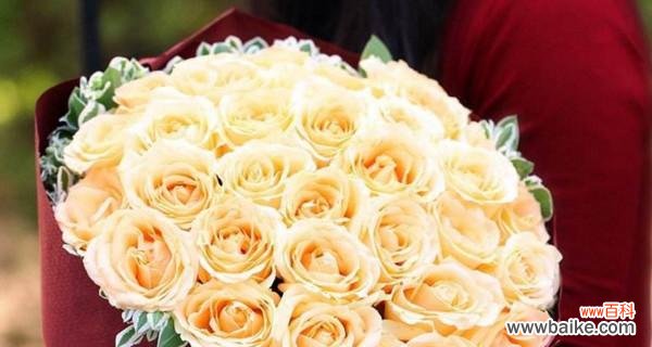 探寻香槟色玫瑰的情感和象征意义 香槟色玫瑰的花语与寓意