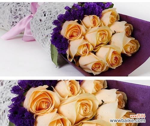 揭示香槟色玫瑰花独特的象征意义 以香槟色玫瑰花代表的含义