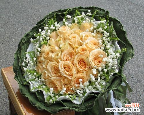 揭示香槟色玫瑰花独特的象征意义 以香槟色玫瑰花代表的含义