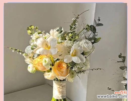 毕业手捧花有何含义?它们象征着什么?