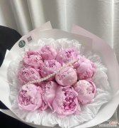 五月节的花语是什么？