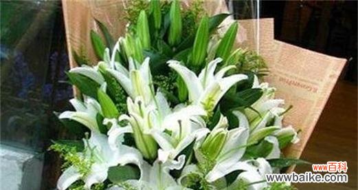 探索百合花的深层含义 香水百合花的花语和意义