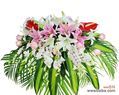 绿色花代表什么寓意?