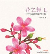 彩色的花的寓意是什么呢？如何选择寓意丰富的彩色花卉？