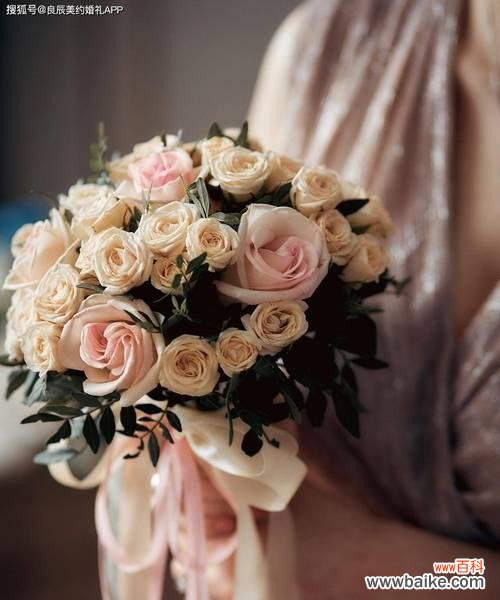 手捧花有几斤花瓣的寓意是什么？花瓣数量对手捧花意义的影响是什么？