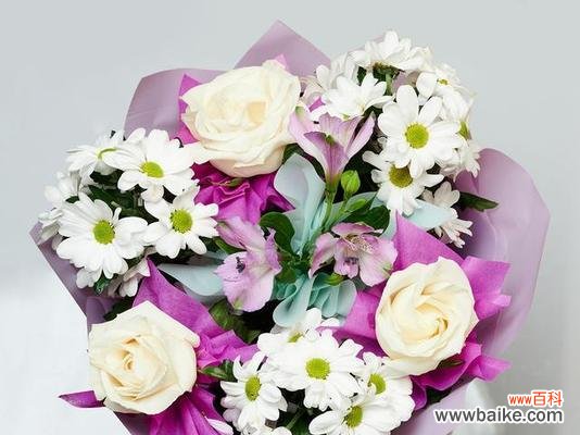 送长辈什么花寓意好?长辈喜欢的花有哪些寓意?