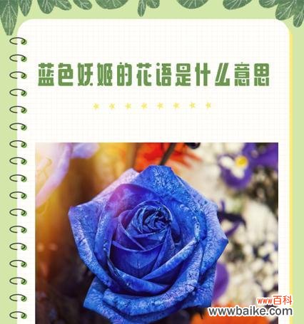 蓝色玫瑰花几支的花语是什么？不同数量的蓝色玫瑰代表什么？