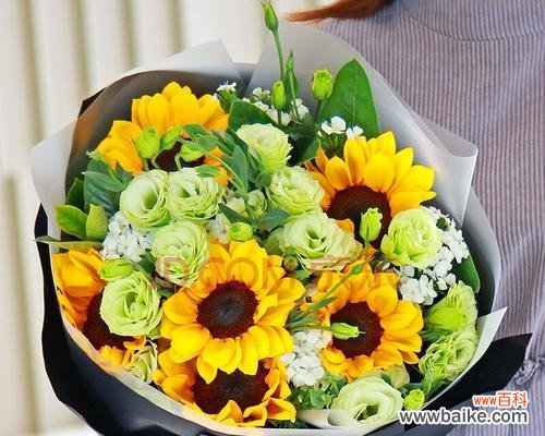 以花为喻，述说老师的辛勤与成就 老师如花