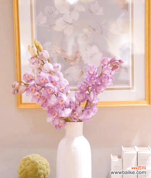 新年祝福的花有哪些?如何选择寓意吉祥的花卉?