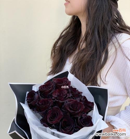 探索黑玫瑰的神秘色彩 黑玫瑰的花语与含义