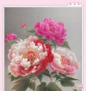 天香国色的花语是什么？它有什么寓意？