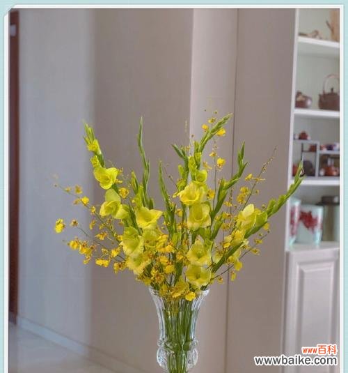 黄色的花通常象征什么?黄色花的象征意义有哪些?