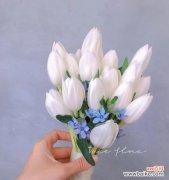 白色手捧花代表了什么？