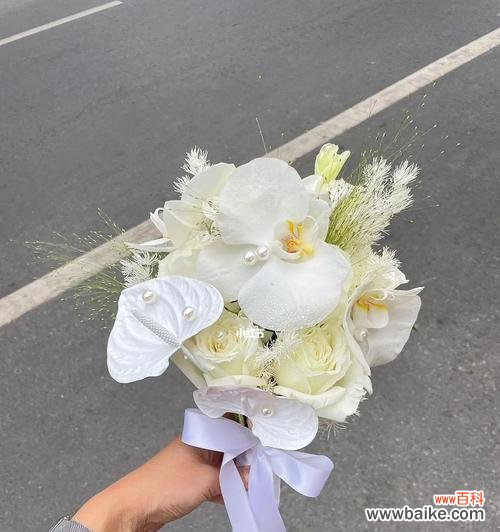 白色手捧花代表了什么?