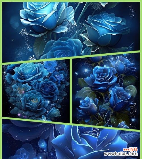 蓝色妖姬象征着什么？它的寓意是什么？