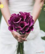 两朵手捧花代表什么？它们的意义和象征是什么？