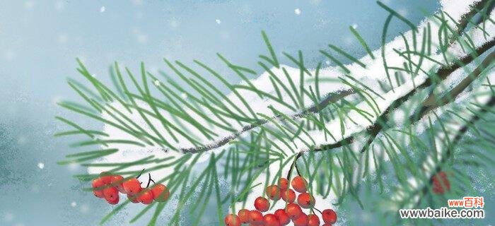 传递快乐与美好的红豆花语 红豆花语之祝福与希望