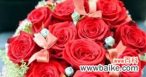 传达爱情和热情 红玫瑰的含义与象征