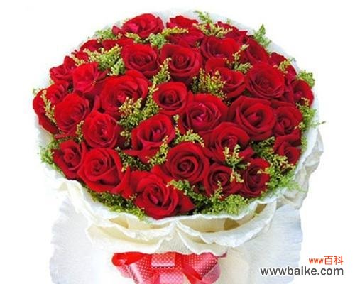 传达爱情和热情 红玫瑰的含义与象征