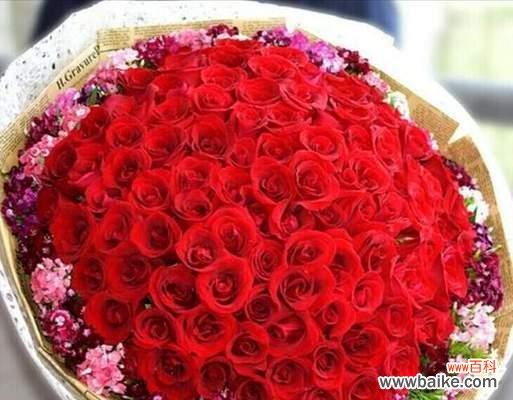 红玫瑰朵数背后的含义与表达方式 红玫瑰朵数的象征意义与解读
