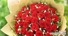 红玫瑰花语的浪漫表达和情感意义 红玫瑰花语大全及寓意