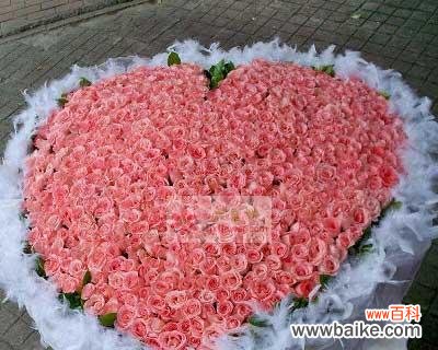 6朵粉色玫瑰花代表了什么?它们的花语有何特别之处?