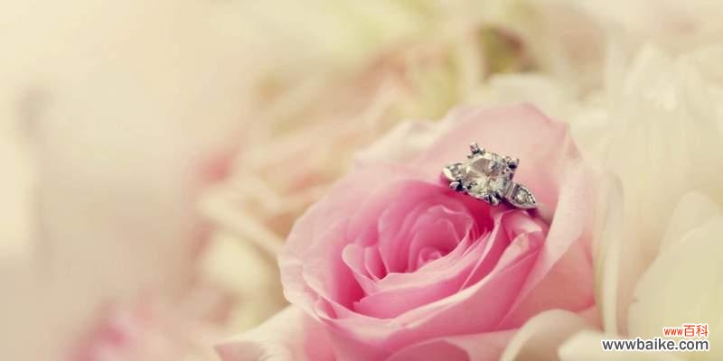 浪漫爱人花的寓意是什么?哪种花最能代表浪漫爱情?