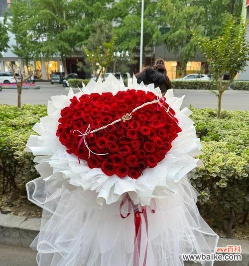 情人节送什么花最能表达爱意?俏皮花语有哪些?