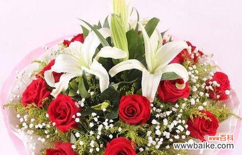 情人节送什么花最能表达爱意?俏皮花语有哪些?