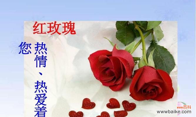 红色玫瑰花所传递的爱情与热情 红色玫瑰花花语的深意
