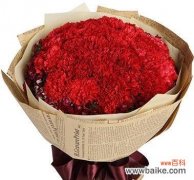 红色康乃馨的象征意义及鲜花赏析 红色康乃馨花语与寓意